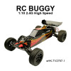 1/10 High Speed RC Buggy