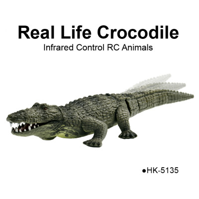 Infrared Control Real Life Crocodile Animal