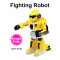 RC Fighting Robot Transformers