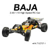 1/10 High Speed RC Baja RC Car(hot sale rc toys)