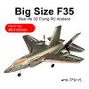 2.4G 4CH Big Size F-35 Stunt EPP RC Airplanes