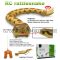 RC rattlesnake (HK-5068)