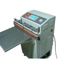 Embaladora a vácuo VP-600A