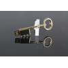 gold key usb memory stick