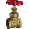 ART2116  brass gate valve