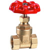 ART2120  brass gate valve
