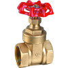 ART2121 brass gate valve