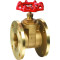 ART2124 brass gate valve