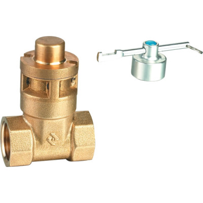 ART2204 brass gate valve