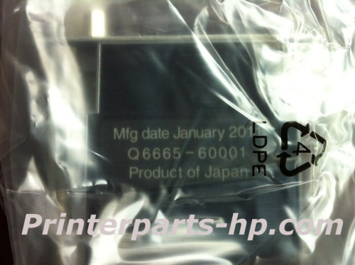 Q6665-69001 HP Designjet 9000S 10000S Printer Head