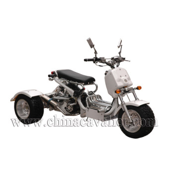 three wheels motorcycles   CATR01-200CC