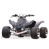 NEW RACING ATV/QUAD  CAST01-110CC