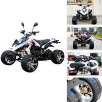 2010 NEW  RACING ATV
