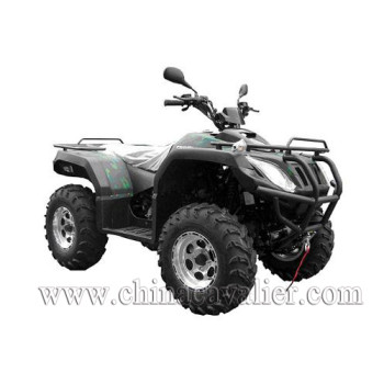ATV(QUAD)   CAST01-650CC