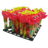 Flying Fish Toy Candy