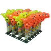 Lion Ball Toy Candy