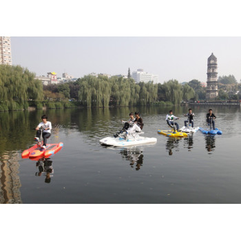 Single water bike / pedal boat for sale