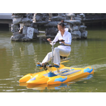 2012 pedal boat water bike