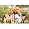 Cosplay wig synthetic hair C-024