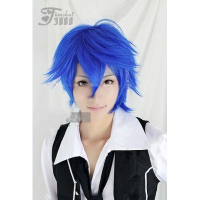 Cosplay wig--synthetic hair --C-043