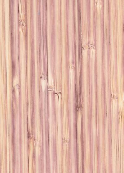 фиолетовый бамбуковых tb.v