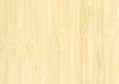 bambou naturel-tb.v