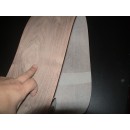 الشريط القشرة