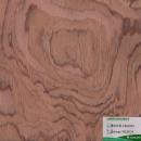 bubinga-tb.2012n