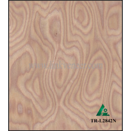 TR-L2842N, E V burl veneer manufacturer supply engineered wood veneer