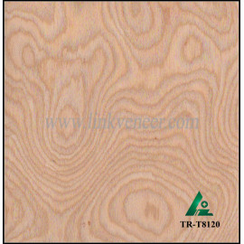 TR-T8120, Laminated Tree Root Veneer for decoration