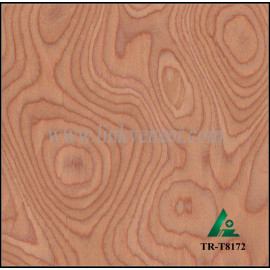 TR-T8172, engineered cherry tree root wood veneer with FSC certificated for decoration