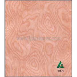 TR-Y, Reconstituted Decorative Engineered pink root Wood Veneer