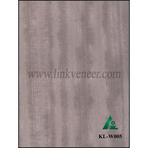 KL-W005