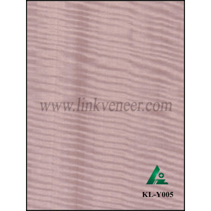 KL-Y005