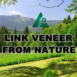 Engineered Veneer/Finger Joined Veneer/Dyed Veneer