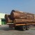 CUSTOMIZED ARTIFICIAL WOOD VENEER YELLOW OAK STRAIGHT CUT FINE-LINE H0536 DOOR