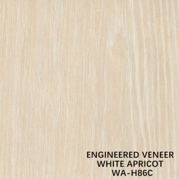 RECON WOOD VENEER WHITE APRICOT CROWN CUT H86C 2500-3100MM FOR DOOR AND WINDOWS