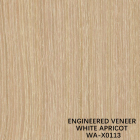 MAN MADE WOOD VENEER WHITE APRICOT QUARTER CUT STRAIGHT GRAIN X0113 FOR FUNITURE