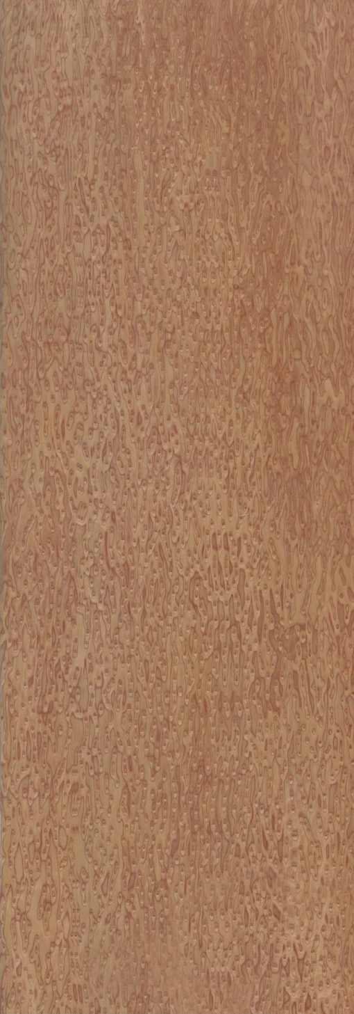 HIGH-END CUSTOM ENGINEERED WOOD VENEER OF BROWN CAT'S EYE BEC-X219 WOOD BURL GRAIN