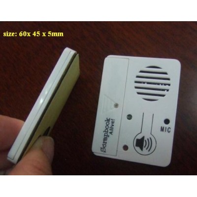 GS437 Flat Sound Box