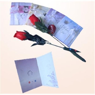GR436 Recordable Greeting Card / Recording Card 