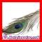 Wholesale Real Natural Peacock Tail Eye Feather Hair Extension