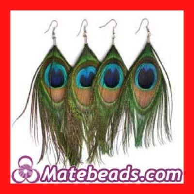 Wholesale Cheap Big Long Peacock Feather Earrings