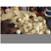 Fashion Chain Pearl Colorful  Chiffon Tassel Bracelet B-0010