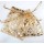 Wholesale Gorgeous Organza Gift Bags 10x15cm Rose G-0009-BL