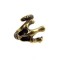 2Pcs 2Colors Retro Style Punk Eagle Claw Ring #7 R-1011