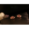 charming gold plated red zircon hollow out fish ear stud E-0634-PI