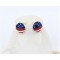 New Design Jewelry Enamel US America Flag Ball Ear Stud Earrings E-0560