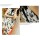 C-0021 2012 Korean new woman scarf Europe skull scarf velvet Chiffon Scarf
