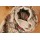 C-0023 hot Sell 2012 Stars Style Europe rectangle cream cotton carriage lady scarf 180cm*110cm